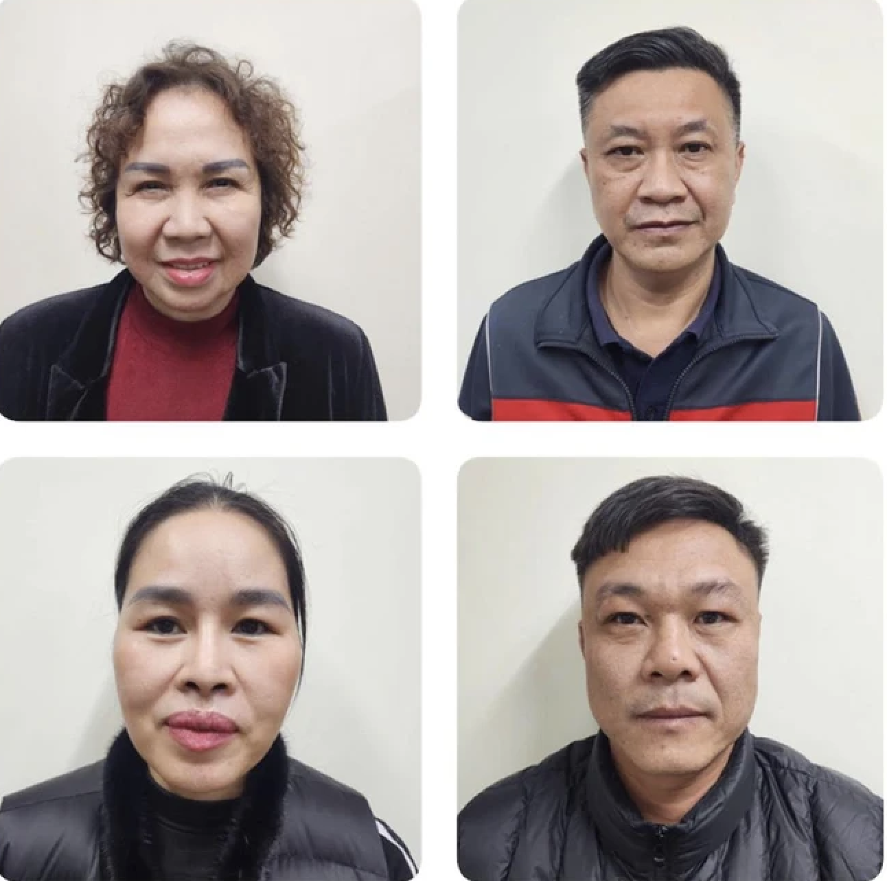 Vụ bắt nữ đại gia Chu Thị Thành: Khởi tố thêm 1 Phó tổng giám đốc công ty- Ảnh 1.