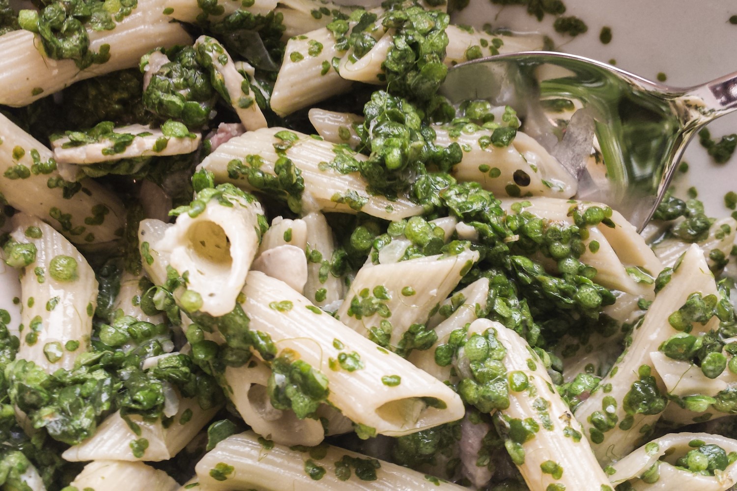 Loại rau mọc dại, nhiều protein gấp 6 lần đậu nành: Tiếc là người Việt chỉ dùng để nuôi lợn, gà- Ảnh 4.