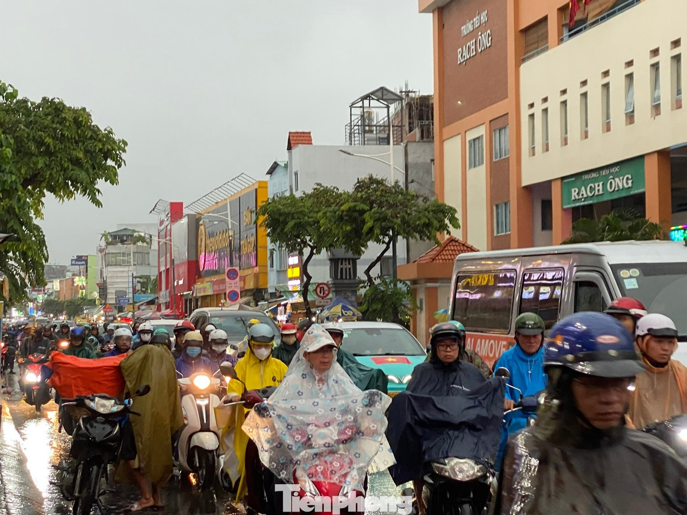 TPHCM sẽ tạm 'đóng cửa' trường học nếu mưa bão phức tạp- Ảnh 1.
