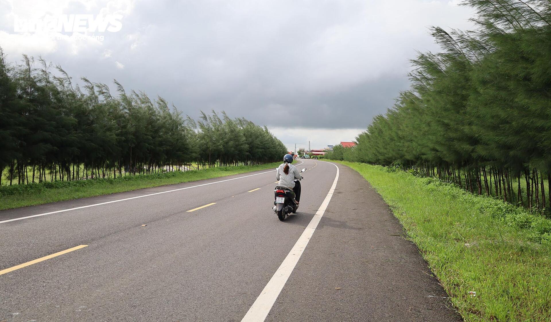 Tuyến đường bộ ven biển Hưng Yên 5 . 000 Tỷ đồng sắp hoàn thành kết nối Hải Phòng - Ảnh 6.