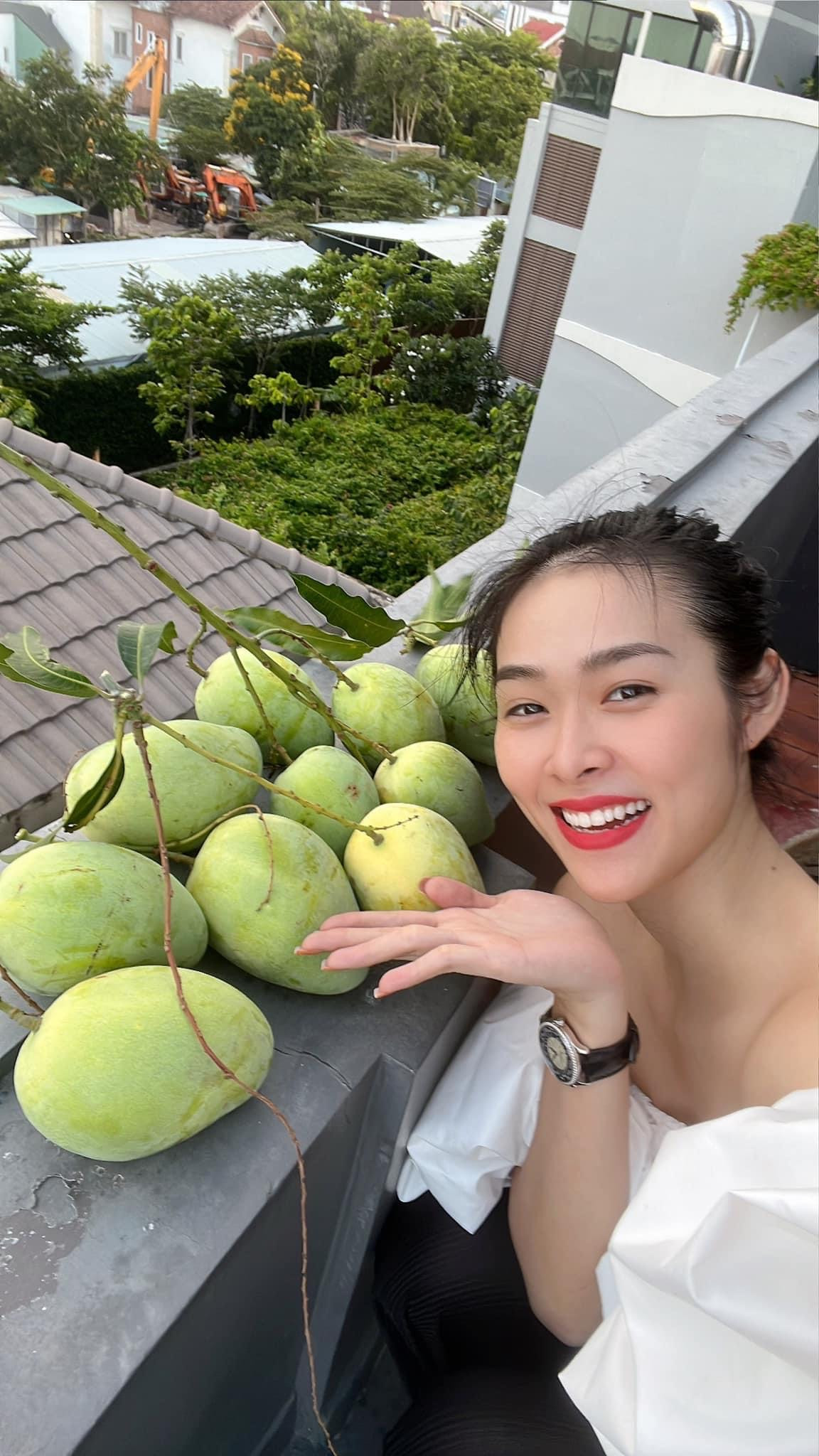 Nữ diễn viên ở nhà phố 100m2: Ly hôn năm 22 tuổi, 10 năm sau có 3 công ty, yêu bạn trai 9 năm không cưới - Ảnh 2.