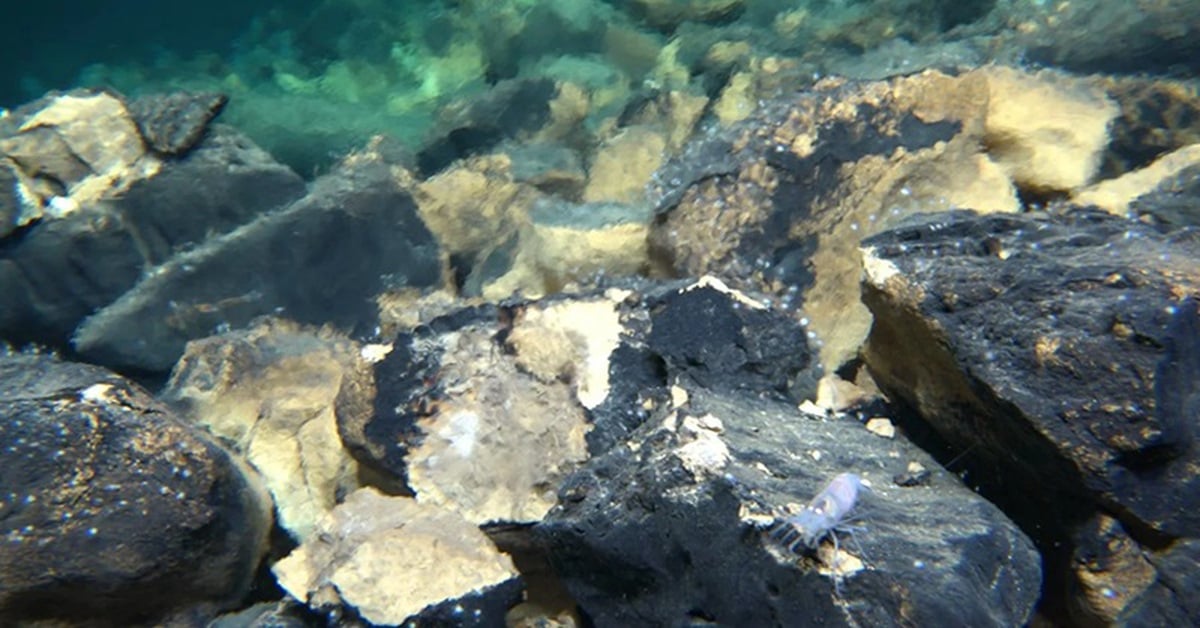 T&agrave;u ngầm Trung Quốc t&igrave;m ra nơi chứa b&iacute; mật về sự sống - Ảnh 1.