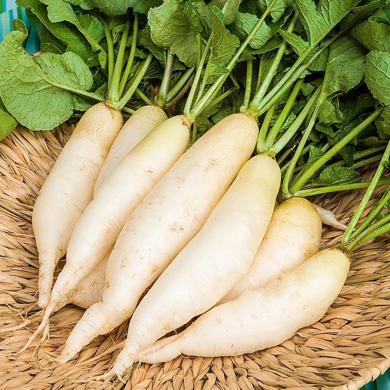 Không phải dưa chuột, tháng 9 nên ăn nhiều 7 loại "rau củ vàng" này để bù nước cho cơ thể: Ngon, bổ dưỡng lại không tốn kém- Ảnh 6. Không phải dưa chuột, tháng 9 nên ăn nhiều 7 loại "rau củ vàng" này để bù nước cho cơ thể: Ngon, bổ dưỡng lại không tốn kém- Ảnh 6.