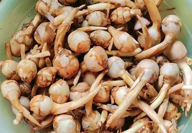 Không phải dưa chuột, tháng 9 nên ăn nhiều 7 loại "rau củ vàng" này để bù nước cho cơ thể: Ngon, bổ dưỡng lại không tốn kém- Ảnh 7. Không phải dưa chuột, tháng 9 nên ăn nhiều 7 loại "rau củ vàng" này để bù nước cho cơ thể: Ngon, bổ dưỡng lại không tốn kém- Ảnh 7.