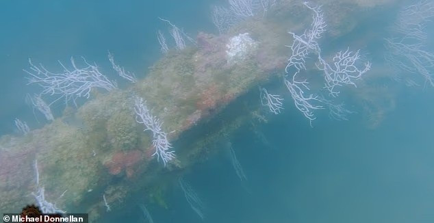 Khám phá gây sốc dưới biển Tây Ban Nha có thể là thủ đô huyền thoại Atlantis- Ảnh 1.