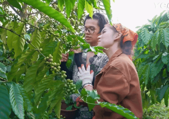 M&agrave;n t&aacute;n g&aacute;i nghe &ldquo;ngại hết cả c&agrave; ph&ecirc;&rdquo; của anh Việt kiều Đức v&agrave; tiểu thư 7.000 tỷ- Ảnh 1.