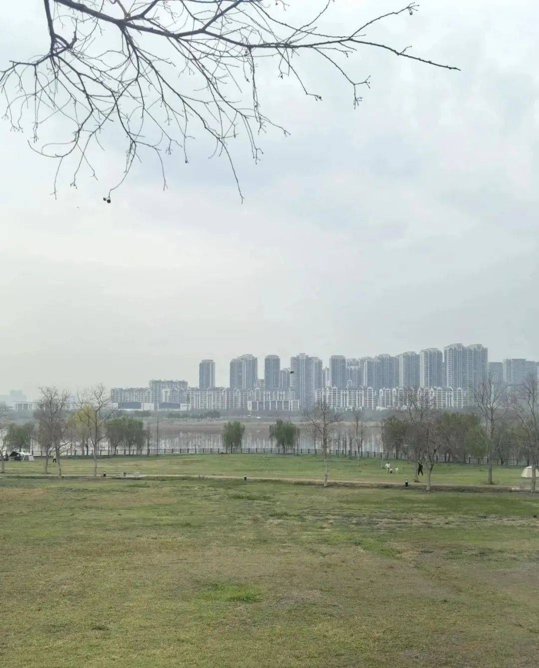 B&iacute; mật từ d&acirc;n trong nghề: 6 loại nh&agrave; mua xong kh&oacute; b&aacute;n, dễ tụt gi&aacute; th&ecirc; thảm lại kh&oacute; tụ t&agrave;i- Ảnh 3.