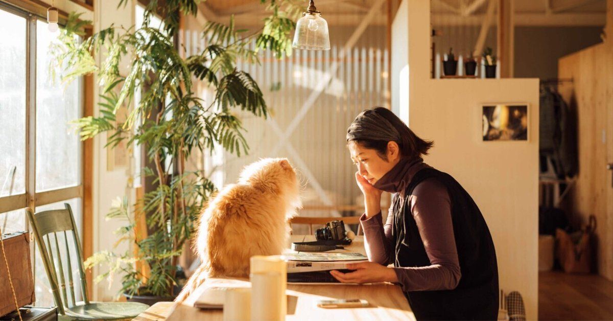 T&ocirc;i từng mua căn hộ tầng 25 v&igrave; view đẹp - v&agrave; đ&acirc;y l&agrave; 3 điều bất tiện kh&ocirc;ng ai n&oacute;i trước- Ảnh 1.