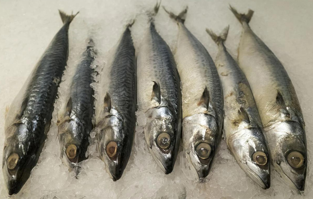 T&ocirc;i vừa mới ph&aacute;t hiện ra: 4 loại c&aacute; n&agrave;y chứa kim loại nặng v&agrave; k&yacute; sinh tr&ugrave;ng, v&igrave; sức khỏe của bạn v&agrave; gia đ&igrave;nh n&ecirc;n ăn &iacute;t lại!- Ảnh 2.