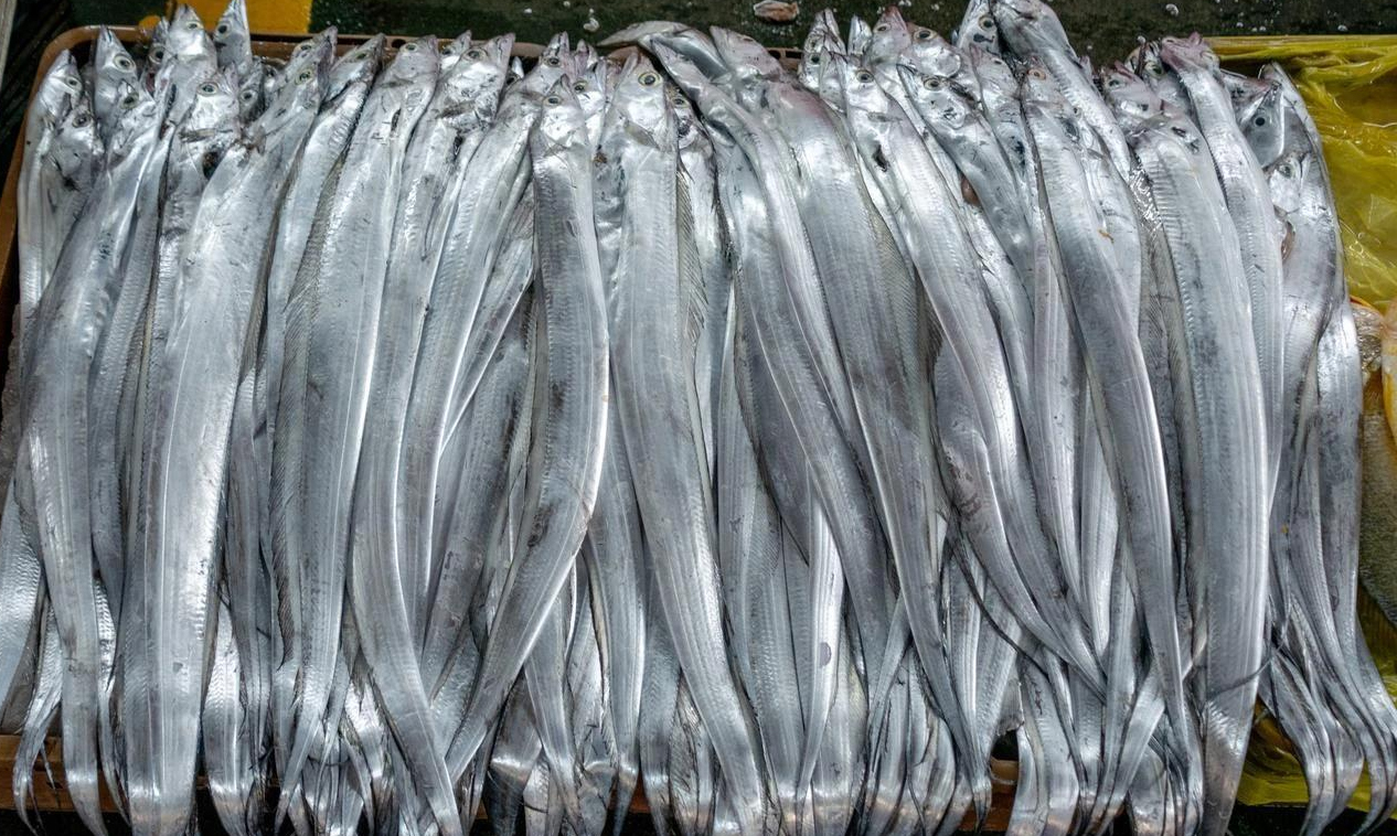 T&ocirc;i vừa mới ph&aacute;t hiện ra: 4 loại c&aacute; n&agrave;y chứa kim loại nặng v&agrave; k&yacute; sinh tr&ugrave;ng, v&igrave; sức khỏe của bạn v&agrave; gia đ&igrave;nh n&ecirc;n ăn &iacute;t lại!- Ảnh 3.