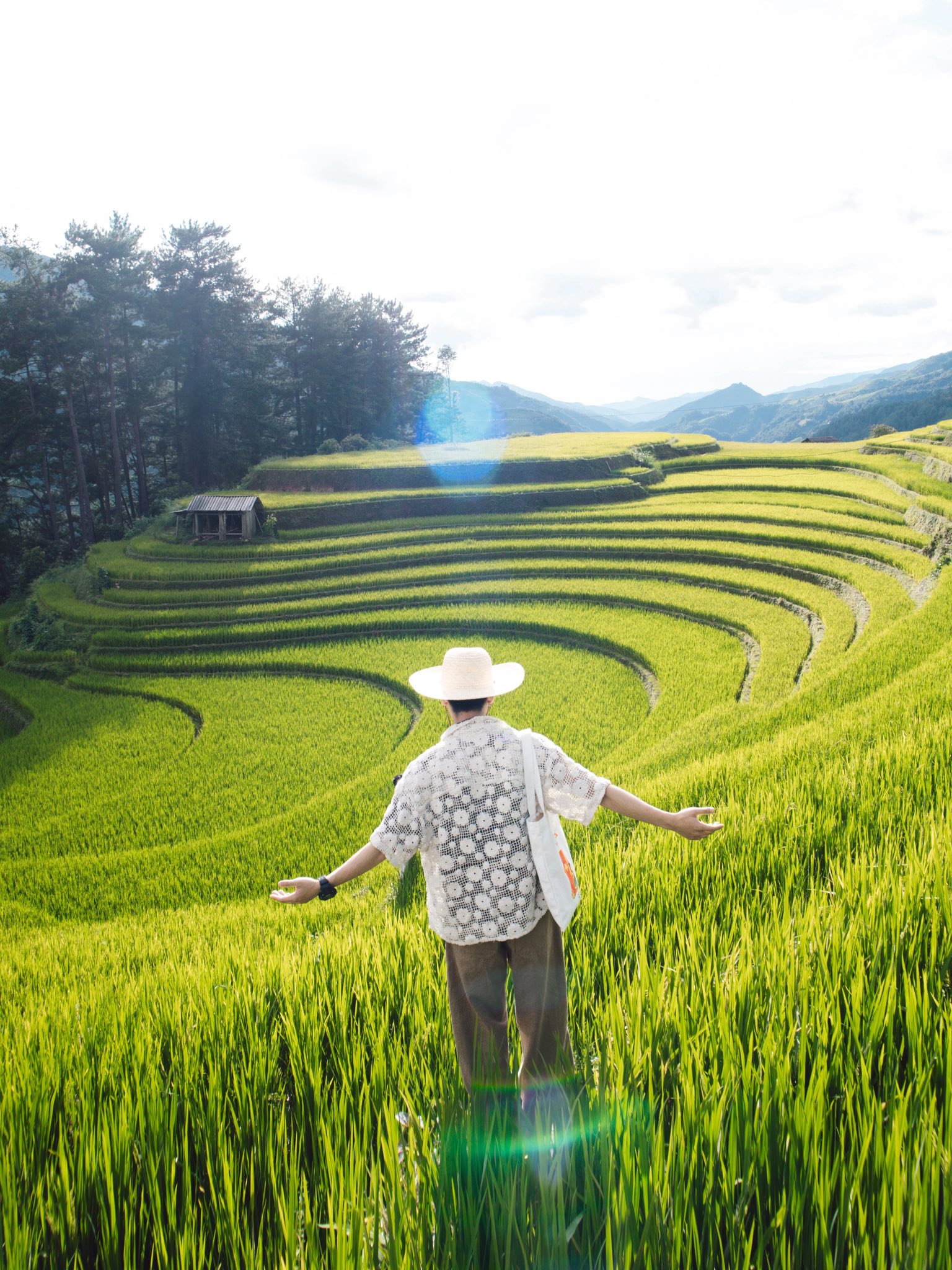 Ngọn đồi ở Mù Cang Chải là điểm ngắm mùa lúa chín siêu thực: Du khách nhận xét "Nhất định phải đến!" - Ảnh 6.