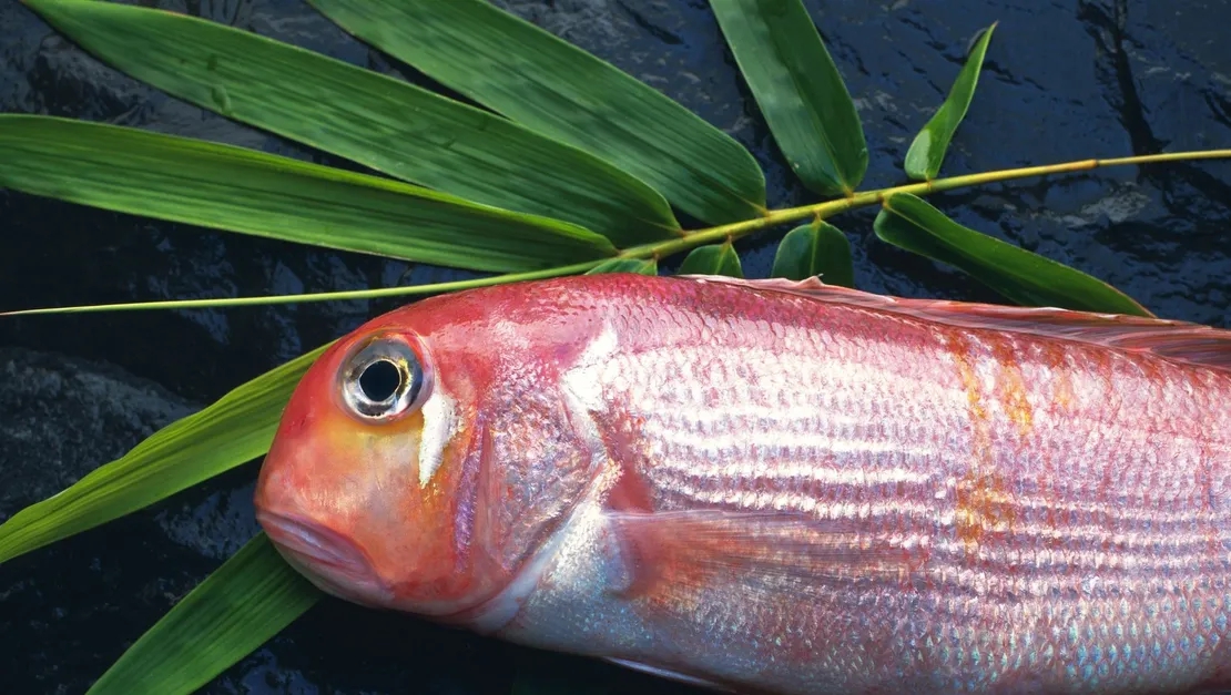 10 loại cá chứa nhiều thủy ngân bậc nhất: Thích đến mấy cũng phải dè chừng- Ảnh 1.