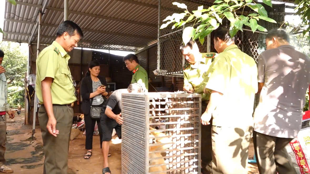 Bắt được động vật "lạ", lên mạng tra cứu thì tá hỏa giao nộp cho công an- Ảnh 1.