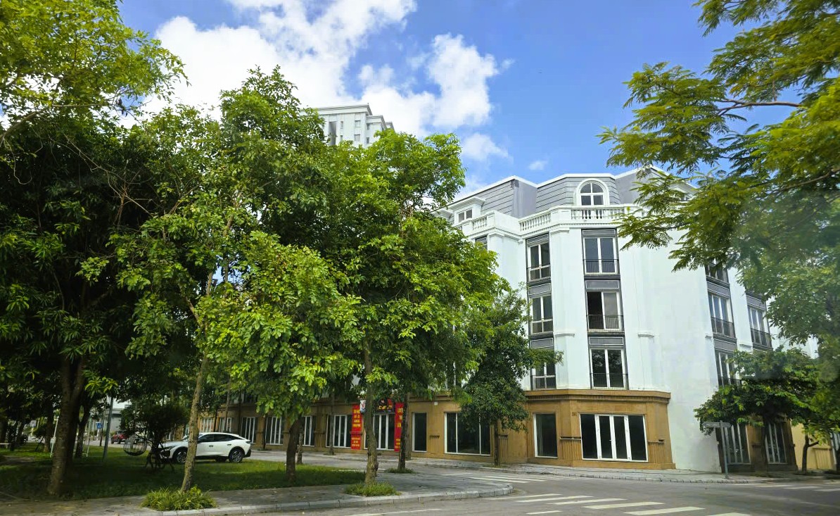 Chuyển đất thương mại sang đất ở tr&aacute;i quy định, loạt c&aacute;n bộ "r&uacute;t kinh nghiệm" - Ảnh 2.