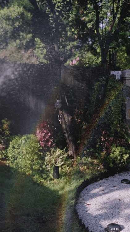 B&aacute;n nh&agrave; phố, cặp vợ chồng trung ni&ecirc;n chuyển ra ngoại &ocirc; ở nh&agrave; 360m&sup2;: Giảm chi ph&iacute; sống, l&agrave;m 4 giờ/ng&agrave;y vẫn đủ đầy- Ảnh 4.