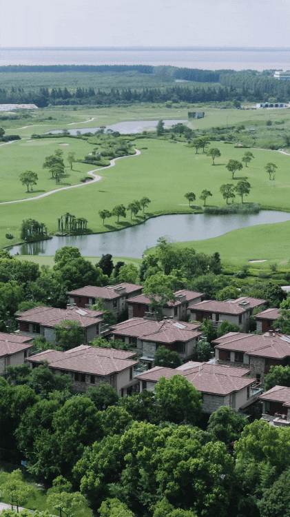 B&aacute;n nh&agrave; phố, cặp vợ chồng trung ni&ecirc;n chuyển ra ngoại &ocirc; ở nh&agrave; 360m&sup2;: Giảm chi ph&iacute; sống, l&agrave;m 4 giờ/ng&agrave;y vẫn đủ đầy- Ảnh 6.