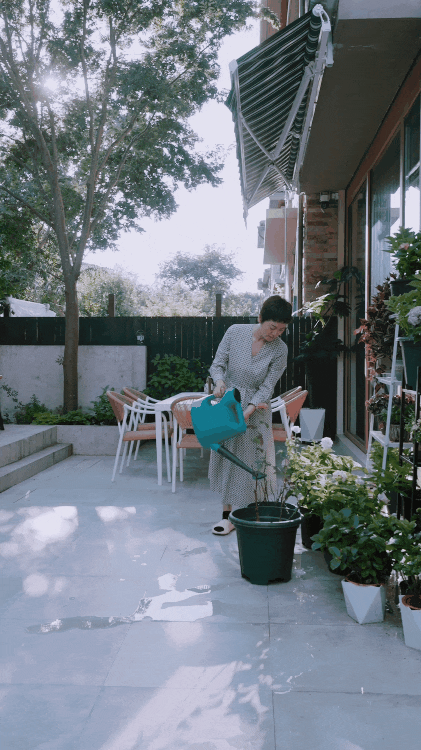 B&aacute;n nh&agrave; phố, cặp vợ chồng trung ni&ecirc;n chuyển ra ngoại &ocirc; ở nh&agrave; 360m&sup2;: Giảm chi ph&iacute; sống, l&agrave;m 4 giờ/ng&agrave;y vẫn đủ đầy- Ảnh 23.