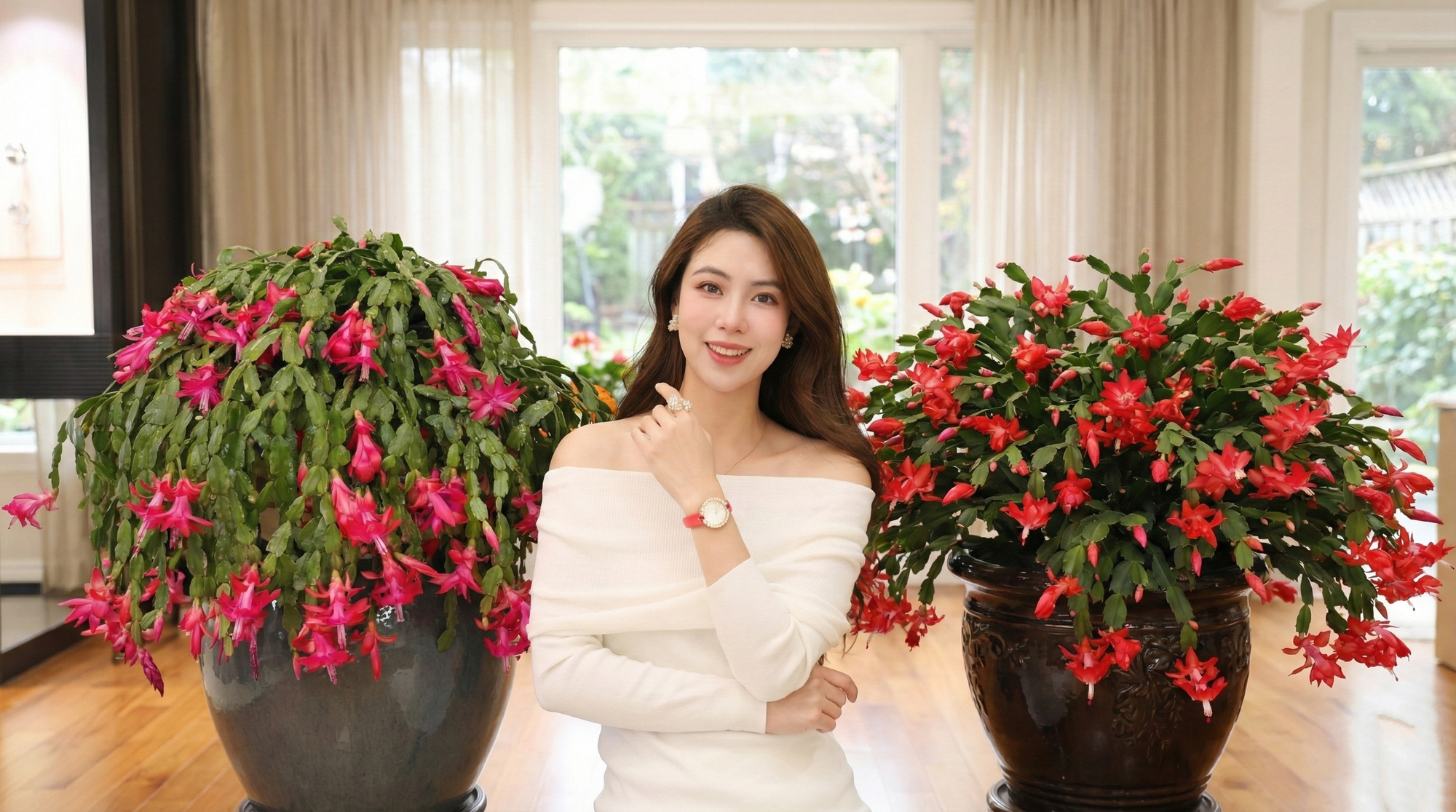 B&iacute; quyết chăm s&oacute;c lan c&agrave;ng cua ng&agrave;y Tết để hoa nở rực rỡ - Ảnh 1.