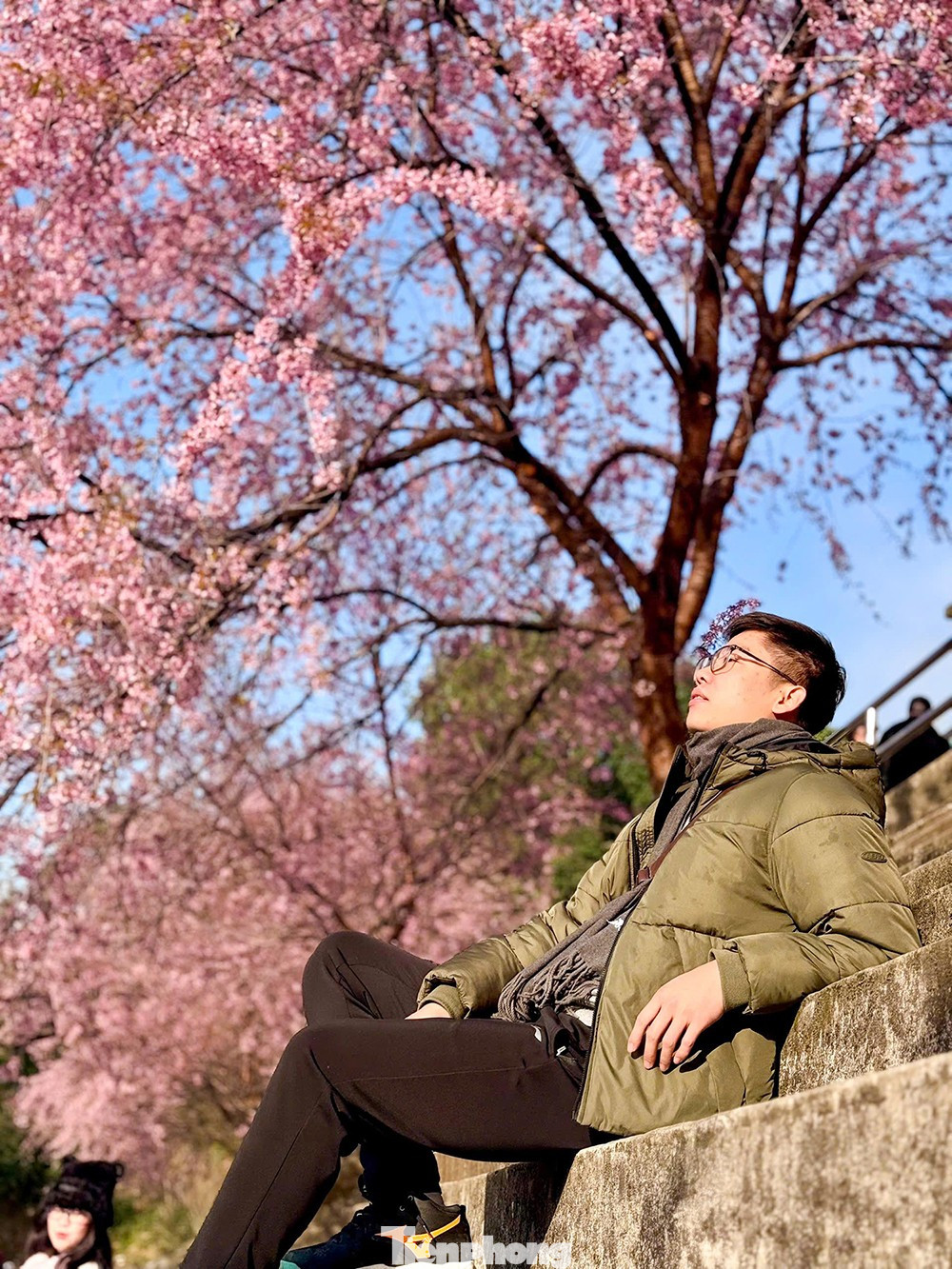 Hoa Tớ D&agrave;y nở rộ tại L&ocirc; L&ocirc; Chải thu h&uacute;t du kh&aacute;ch check - in đầu năm - Ảnh 10.