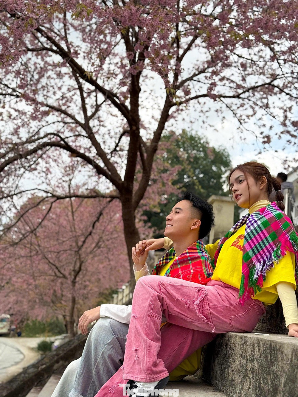 Hoa Tớ D&agrave;y nở rộ tại L&ocirc; L&ocirc; Chải thu h&uacute;t du kh&aacute;ch check - in đầu năm - Ảnh 6.