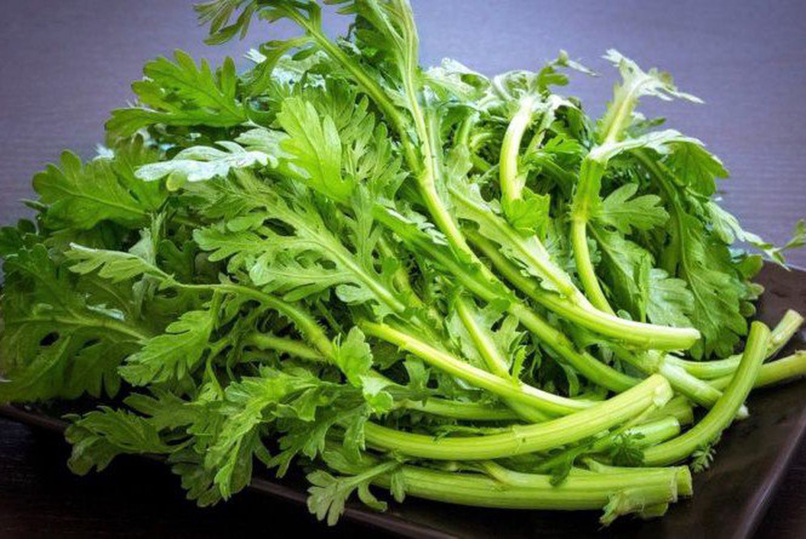 - Ảnh 1. - Ảnh 1.