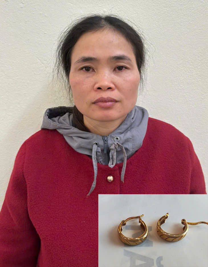 Ch&aacute;u d&acirc;u s&aacute;t hại b&agrave; rồi cướp đ&ocirc;i b&ocirc;ng tai - Ảnh 2.