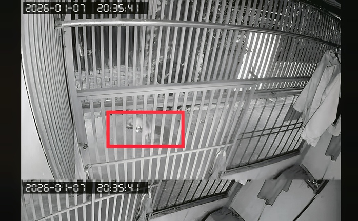 Khi h&agrave;ng x&oacute;m th&agrave;nh... đối thủ - Ảnh 1.