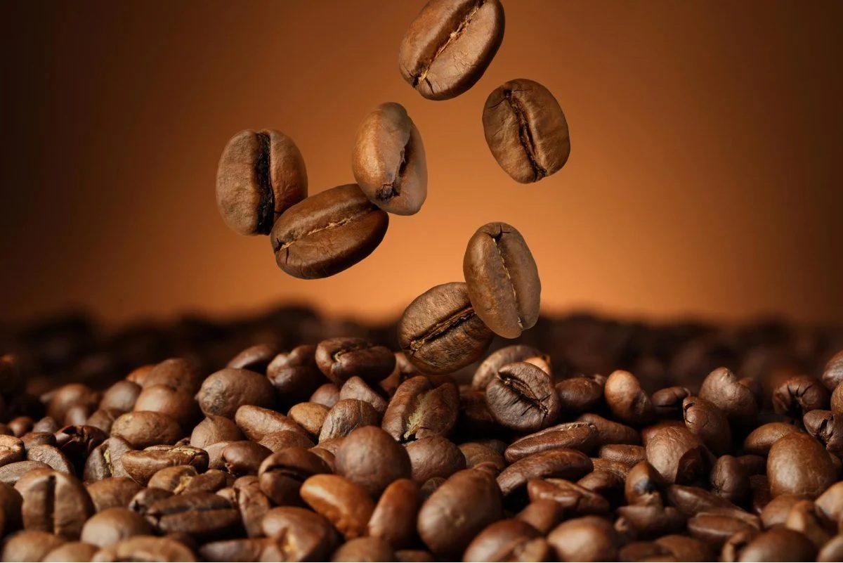 - Ảnh 1. - Ảnh 1.