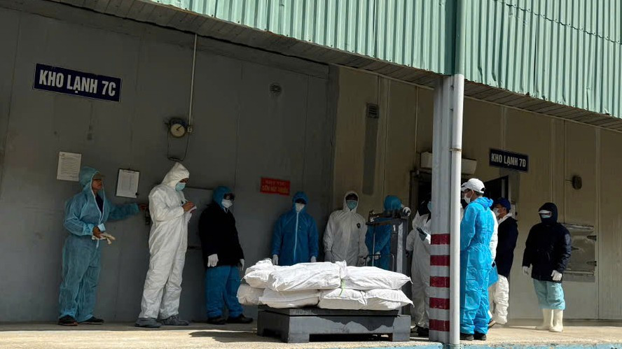 R&agrave; so&aacute;t to&agrave;n bộ sản phẩm của Đồ hộp Hạ Long tại Hải Ph&ograve;ng - Ảnh 4.