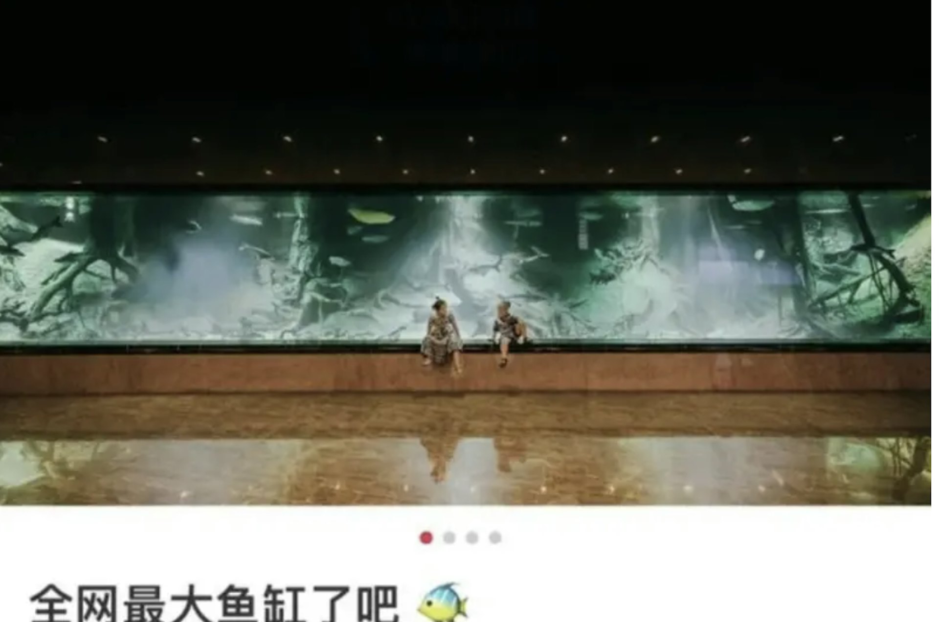 Cuộc sống xa hoa của &ldquo;Ti&ecirc;n nữ TikTok&rdquo; v&agrave; tr&ugrave;m lừa đảo Trần Ch&iacute; - Ảnh 5.