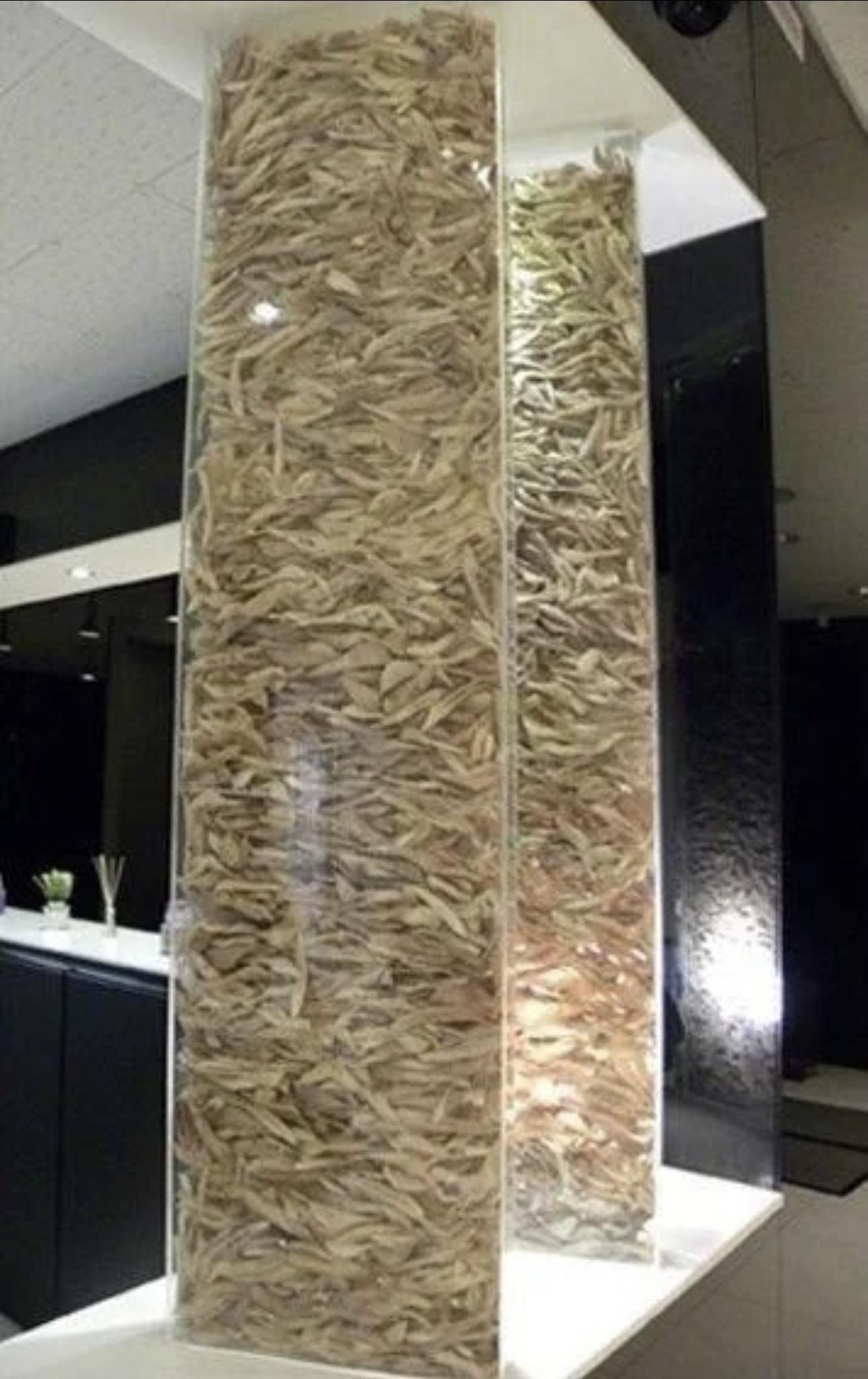 Bức ảnh khiến nhiều người sởn gai ốc tại 1 ph&ograve;ng kh&aacute;m phẫu thuật thẩm mỹ khu Gangnam H&agrave;n Quốc- Ảnh 1.