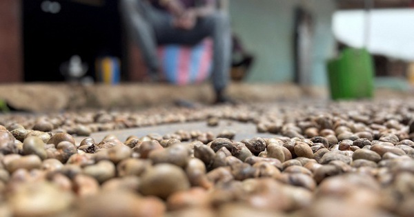 Gi&aacute; v&agrave;ng tiếp tục tăng mạnh, đạt kỷ lục chưa từng c&oacute;, thẳng tiến tới cột mốc mới - Ảnh 4.