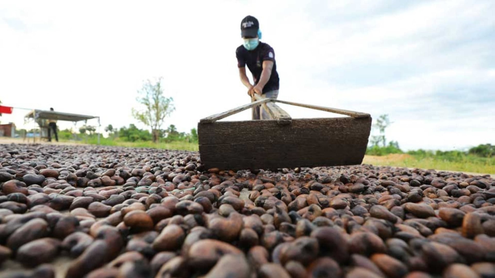 Nhiều quốc gia r&aacute;o riết dự trữ ngũ cốc, đổ h&agrave;ng chục tỷ USD x&acirc;y kho t&iacute;ch trữ lương thực - Ảnh 6.