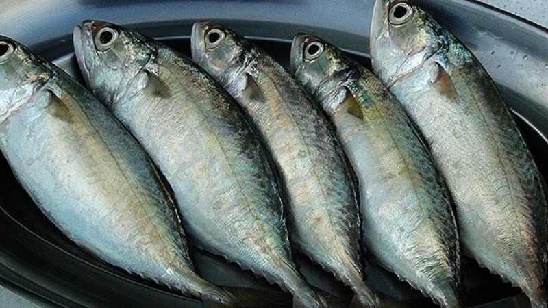 6 lo&agrave;i c&aacute; &iacute;t "ngậm" thủy ng&acirc;n, omega-3 gi&agrave;u v&ocirc; địch: Chợ Việt b&aacute;n sẵn - Ảnh 4.
