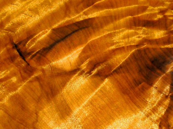 Thương gia mang hơn 900 tỷ đồng hỏi mua 3 cây gỗ trong vườn, lão nông dân đưa ra quyết định gây tranh cãi - Ảnh 3.