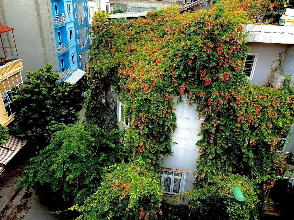 3 cây rắn "kết thân", 4 cây rắn sợ run bần bật - Ảnh 3. 3 cây rắn "kết thân", 4 cây rắn sợ run bần bật - Ảnh 3.