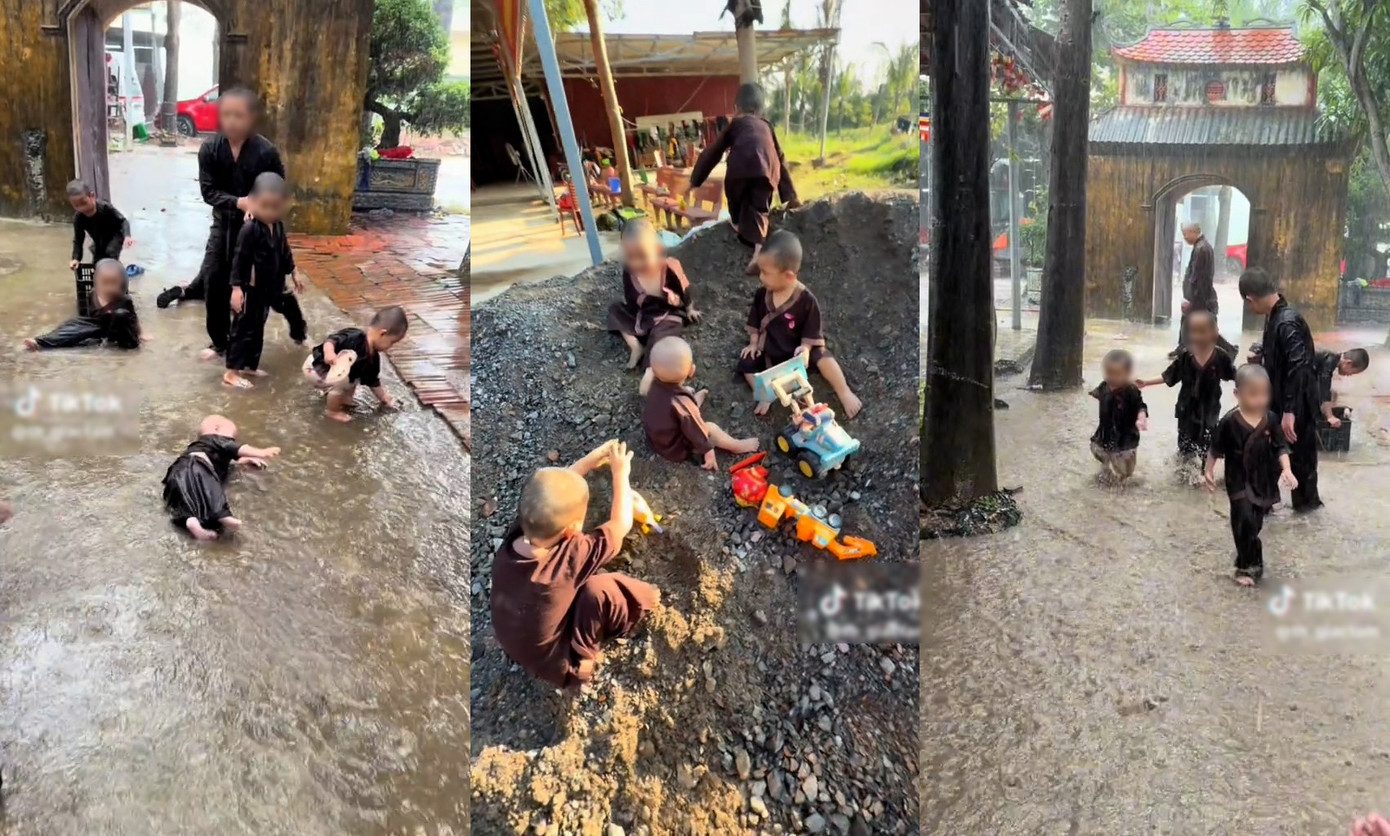 41441 1768279654060 1768279654588993695378