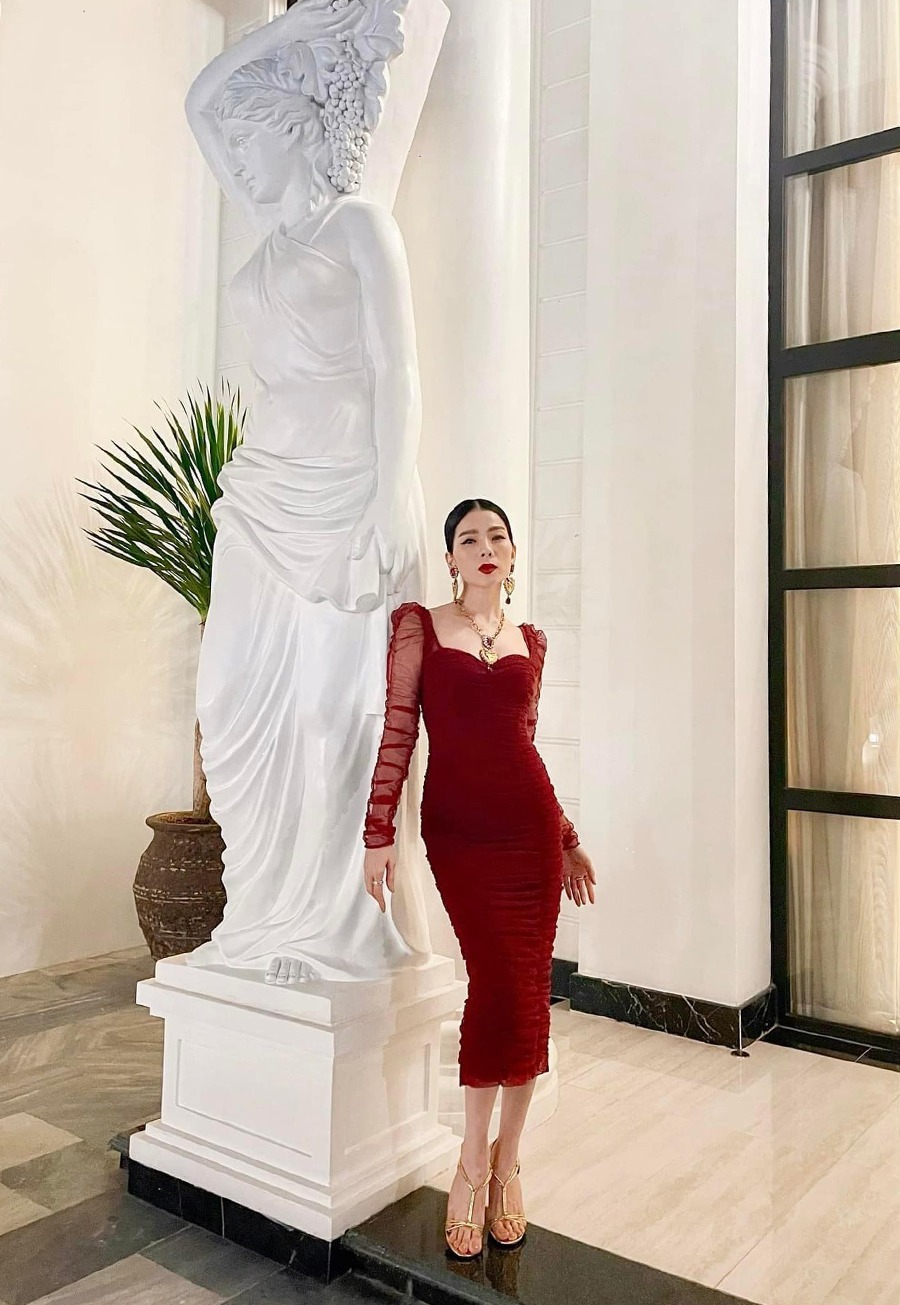 T&agrave;i sản của Lệ Quy&ecirc;n- Ảnh 3.