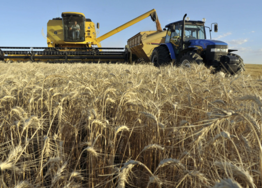 Hơn 700 ngh&igrave;n tấn h&agrave;ng từ Ukraine đổ bộ Việt Nam trong năm 2025, l&agrave; mặt h&agrave;ng nước ta gần như kh&ocirc;ng trồng được - Ảnh 1.