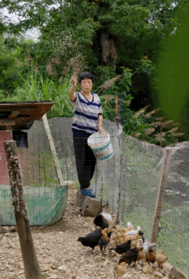 Dốc sạch 6,5 tỷ tiền tiết kiệm, hai chị em trung ni&ecirc;n x&acirc;y nh&agrave; ở qu&ecirc; cho 8 người sống chung khi về gi&agrave;- Ảnh 15.