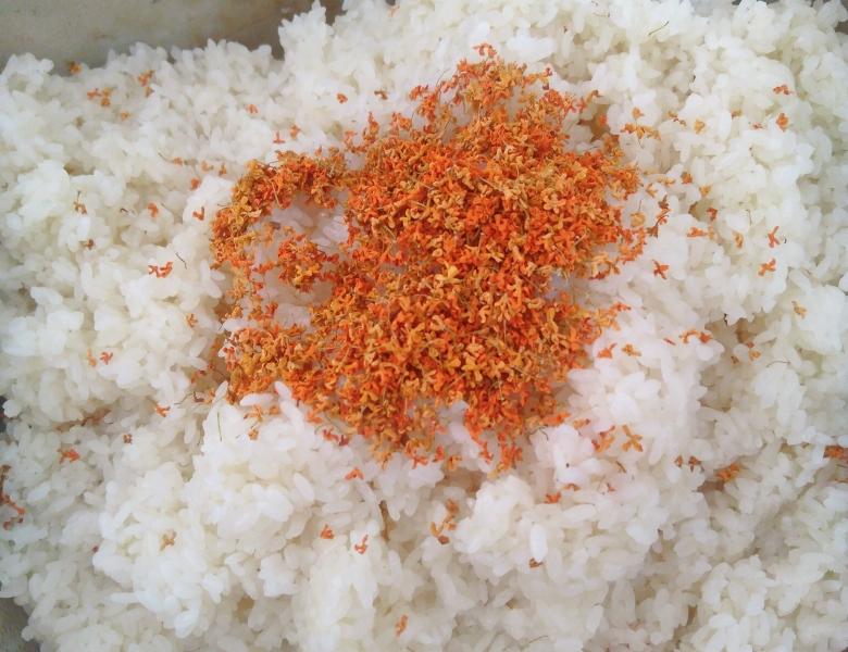 Hóa ra vì tôi hay ăn 3 món này mà da luôn hồng hào, khí huyết lưu thông tốt và tay chân không bao giờ bị lạnh- Ảnh 12.