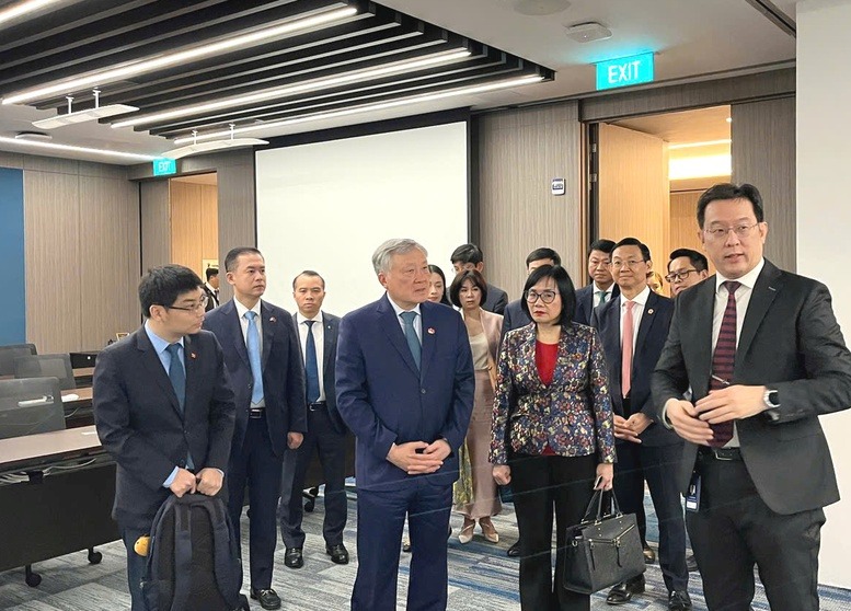 Gần 20 doanh nghiệp Singapore tề tựu, hiến kế cho Việt Nam - Ảnh 3.