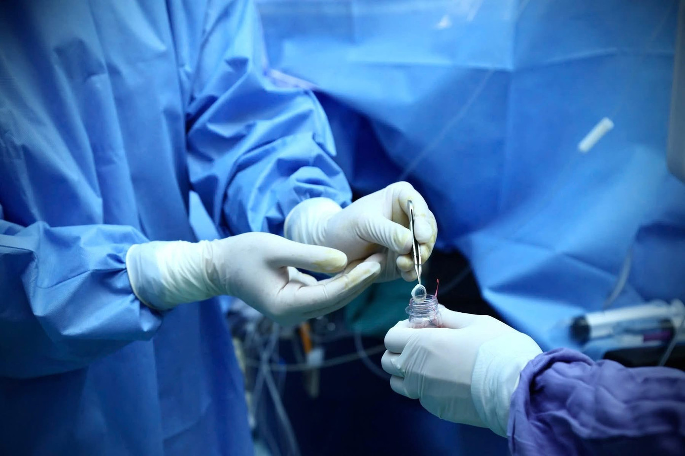 Img 2684 1768269976336 1768269976884942017130