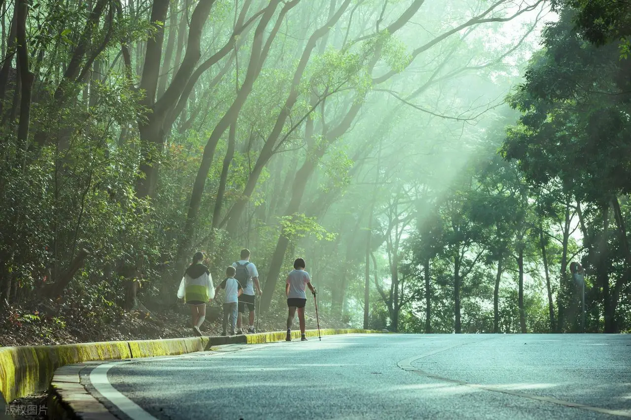 Ng&agrave;y c&agrave;ng c&oacute; nhiều người tử vong v&igrave; ung thư, b&aacute;c sĩ khuyến c&aacute;o &ldquo;2 kh&ocirc;ng uống, 3 kh&ocirc;ng ăn, 1 việc cần duy tr&igrave;&rdquo;, tuyệt đối đừng xem nhẹ- Ảnh 5.