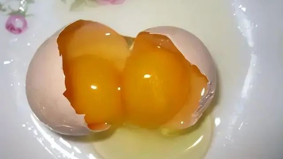 Trứng hai lòng đỏ hay trứng một lòng đỏ: Loại nào bổ hơn?- Ảnh 1. Trứng hai lòng đỏ hay trứng một lòng đỏ: Loại nào bổ hơn?- Ảnh 1.