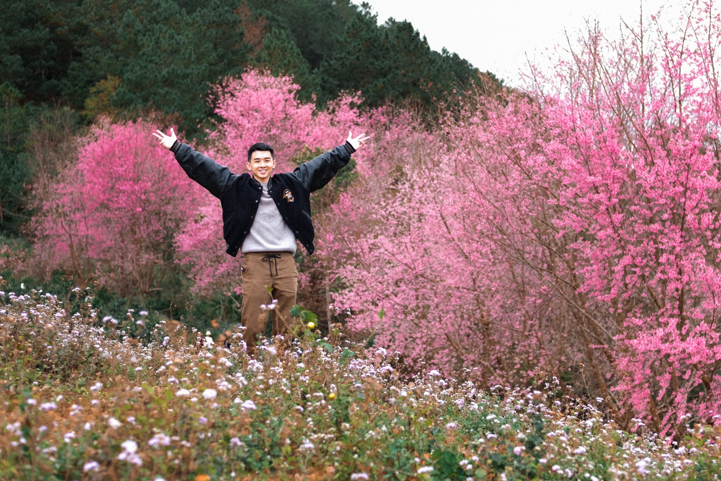 Đầu năm 2026, du lịch Đà Lạt có một việc “chưa từng có tiền lệ” - Ảnh 6.