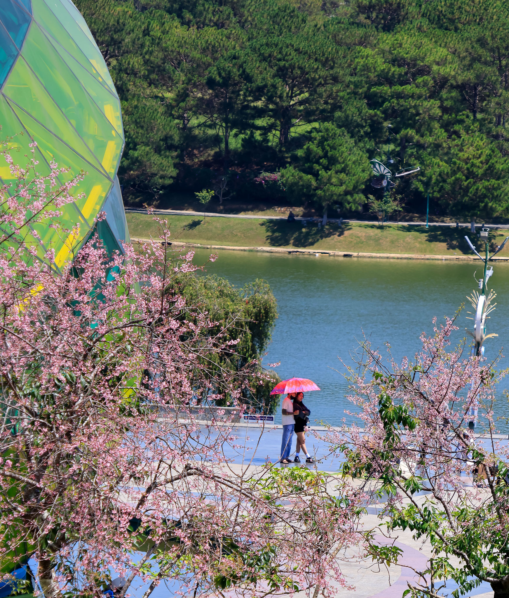 Đầu năm 2026, du lịch Đà Lạt có một việc “chưa từng có tiền lệ” - Ảnh 5.