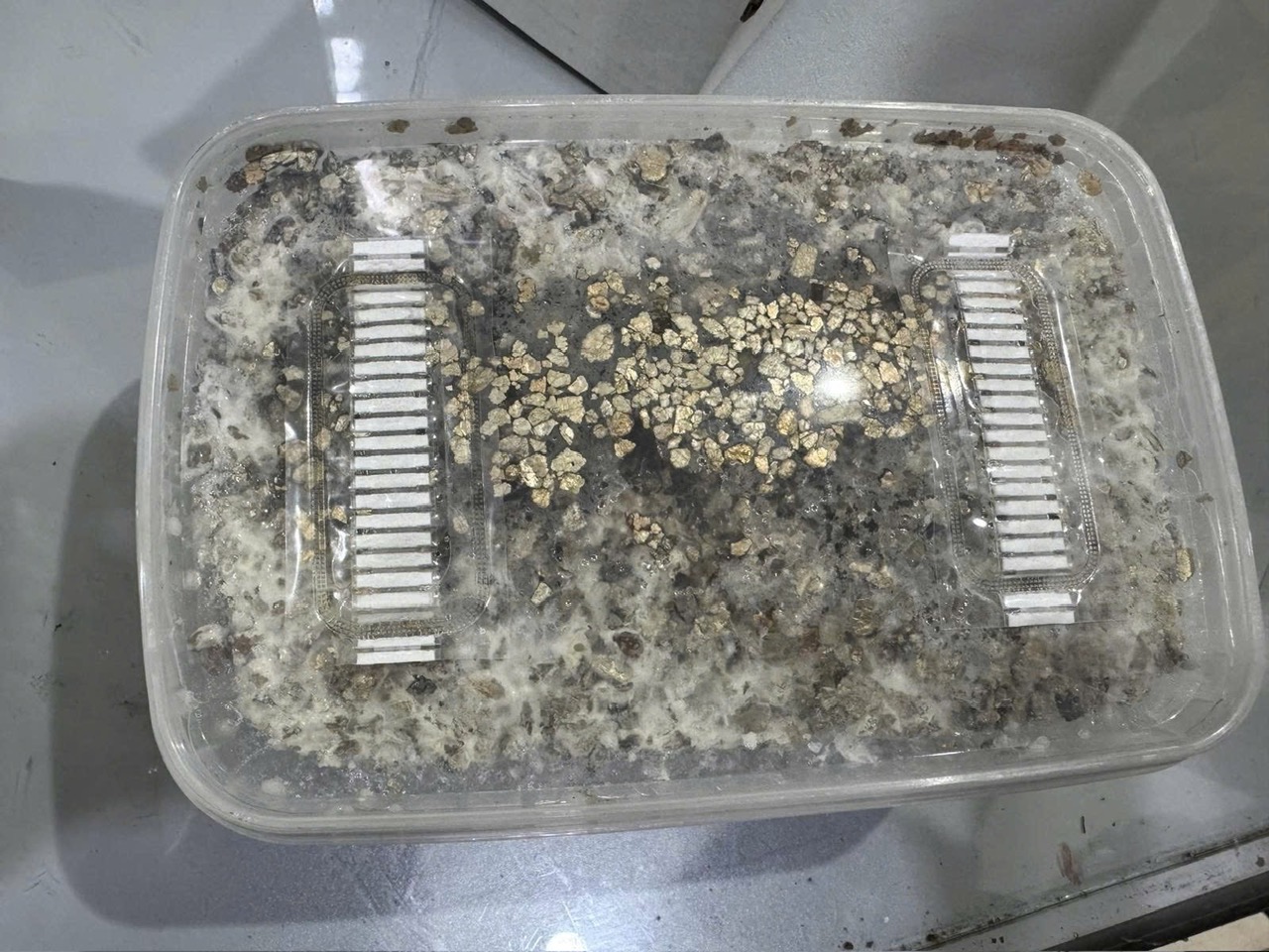 Hải quan khu vực II và cuộc chiến chống tội phạm ma túy tại TP . HCM - Ảnh 2. Hải quan khu vực II và cuộc chiến chống tội phạm ma túy tại TP . HCM - Ảnh 2.