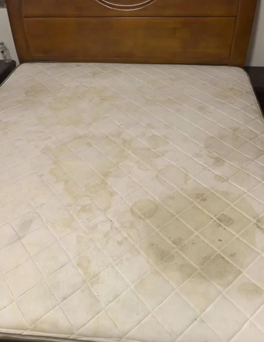 Ngh&egrave;o mấy cũng ĐỪNG tiếc 8 thứ n&agrave;y: Giữ lại chỉ tổ chật nh&agrave;, hao vận- Ảnh 3.