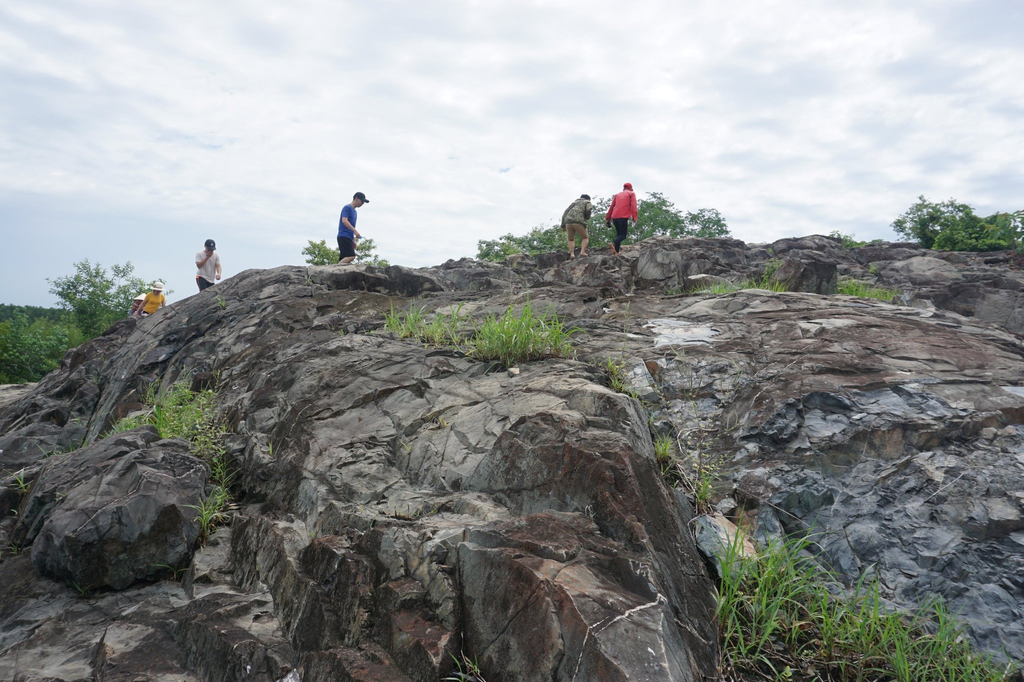 Ngọn núi ở TP.HCM cao chỉ hơn 10m: Được ví như "núi dễ leo nhất Việt Nam", xung quanh là hệ sinh thái hiếm có - Ảnh 3.